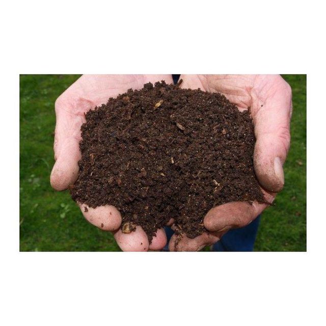 Wholesale peat moss available for potting soil and plant growth applications Premium quality peat moss - Image 3