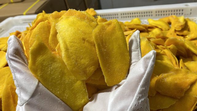 Soft Dried Mango Slices Origin Vietnam with Good Quality Shelf Life 12 Months - Image 5