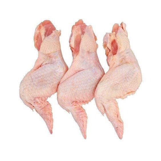Frozen Chicken Wings in a Wholesale Price Frozen Chicken wings Grade Chicken Feet / Frozen Chicken Paws Thailand - Image 1
