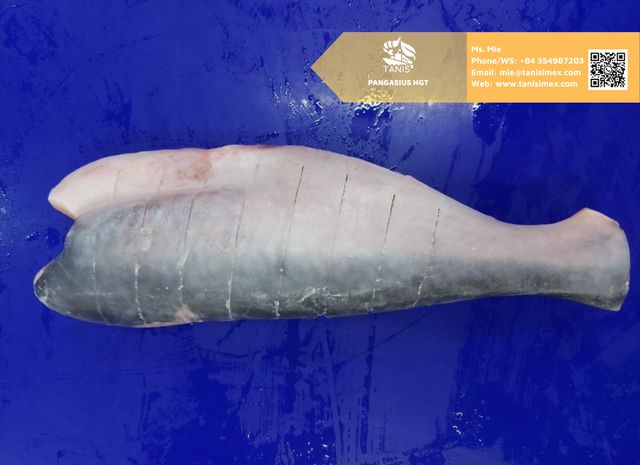 Best Selling Item Frozen Pangasius/ Basa fish Fillet From VietNam Factory - Image 3