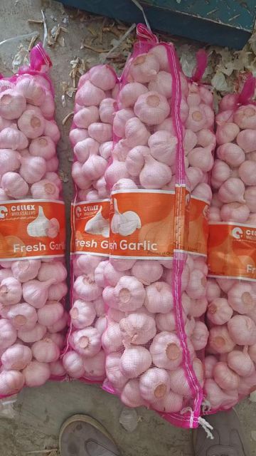 Fresh Vegetables Certifications Haccp, Iso Supply Stability Year-round Packaging Options 5kg/10kg Boxes, Mesh Bags Customization Support Oem Or Private-label - Image 3