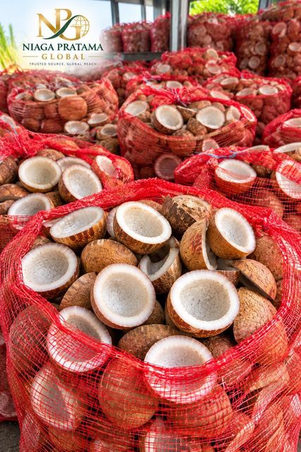 Premium Edible Copra - Dried Coconut Kernel, Moisture 3.6% from Indonesia - Export Quality - Image 5