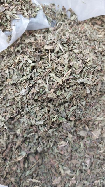Dried Nettle Leaf TBC Grade FOOD Color GREEN Packaging HDPE BAGS Shelf Life 24 MONTHS Max. Moisture (%) 8% Place of Origin INDIA - Image 3