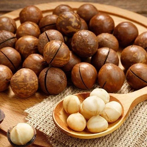 High Quality Organic Macadamia Nuts Healthy Superfood Whole Nuts Bulk Wholesale Low Cost - Image 5
