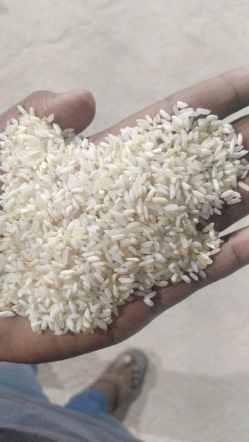 Ir 64 Paraboiled rice 5% 25% 100% broken - Image 2