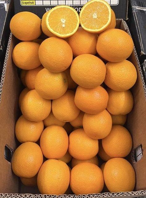 Fresh Orange Valencia - Image 1