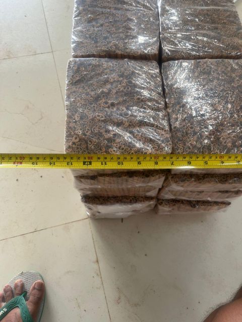 Cinnamon - Image 4