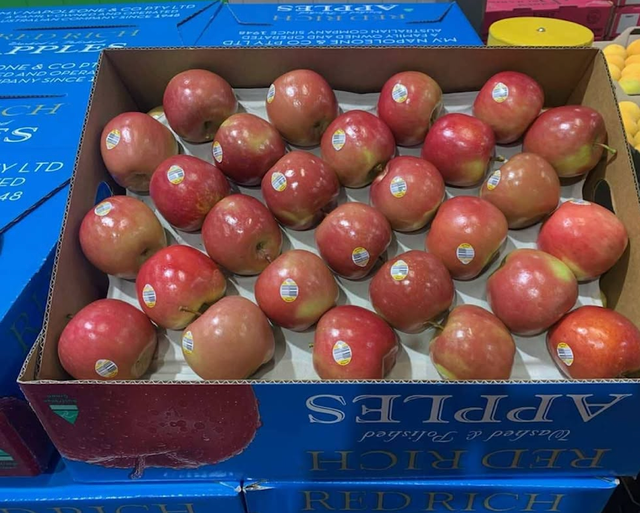 FRESH HARVEST PINK LADY APPLES CAREFULLY PACKED 10Kg-18Kg WHOLESALE - Image 4