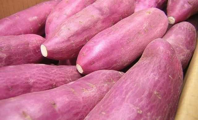 Japanese sweet potato, Purple sweet potato wholesale - Image 2