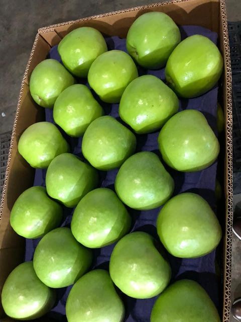 Fresh Granny Smith Apples for sale - Image 4