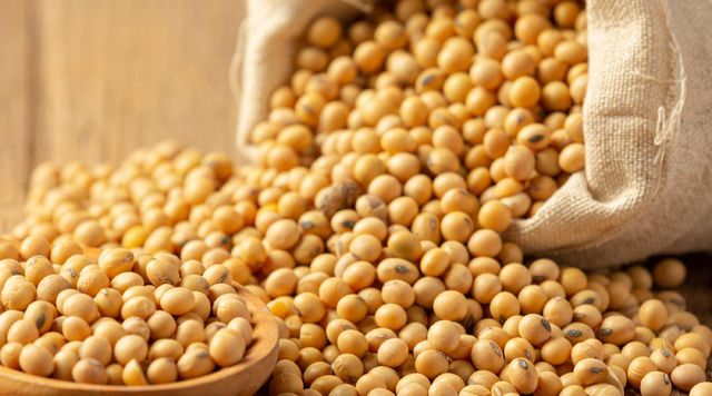 Soybean GMO Gmo Yes Grade GMO Origin Brazil Packaging 60kg bags Place of Origin Brazil - Image 1