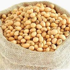 Raw Soybean/ Soya Bean Shelf Life 2 YEARS Place of Origin THAILAND Glycemic Index Low Glycemic Index Cholesterol free - Image 1