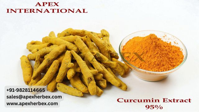 Curcumin Capsules 95 Hplc, Turmeric Extract Capsules 95 Hplc, Curcumin Extract Capsules 95 Hplc, Curcumin Extract Capsules, Curcumin Extract, Turmeric Extract, Turmeric Root Extract Capsules, Curcumin Extract Capsules Bulk Supplier From India, Curcuma longa HPLC Extract, Curcuma longa, Curcumin Extract Capsule By HPLC - Image 4