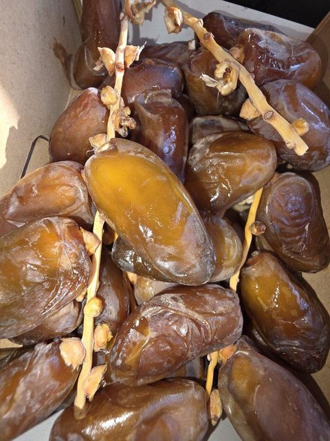 The Queen of Dates 500 g Organic No Origin Other Packaging 500 g Variety Deglet Nour Design Style Premium Place of Origin Algeria - Image 3