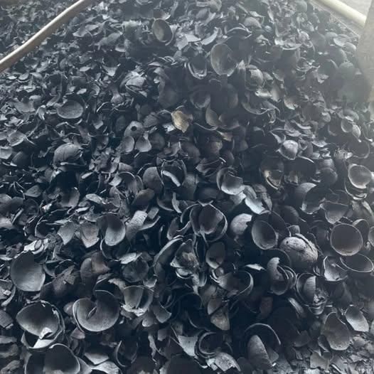 COCONUT CHARCOAL - Image 3