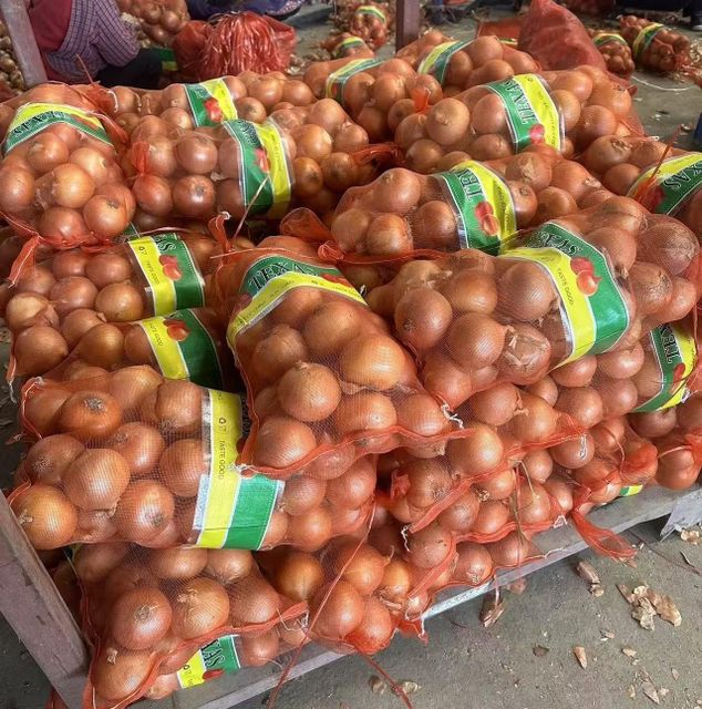 China High Quality Onion For Wholesale - Image 3