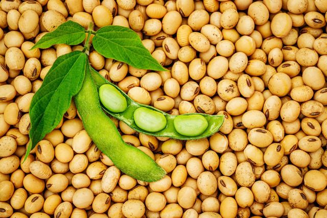 Soya beans - Image 1