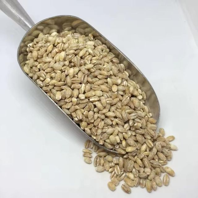 Premium Barley Grain Offering Rich Taste And Barley Content For Bulk Orders In Health Food And Feed Industries - Image 3