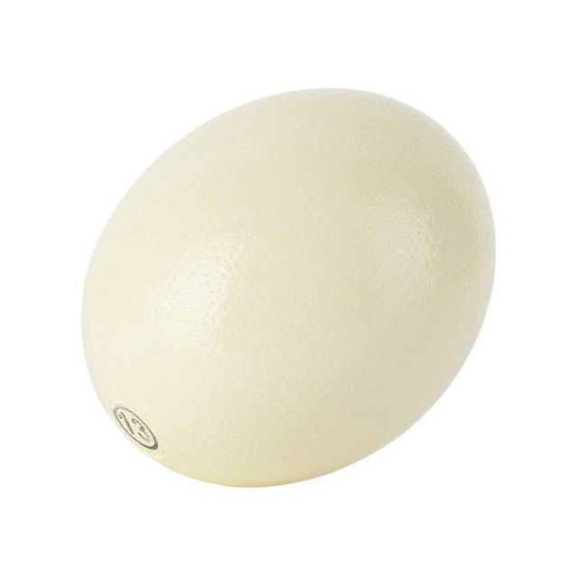 Leading Exporter of Healthy White and Brown Ostrich Eggs/ Fresh Eggs - Image 3