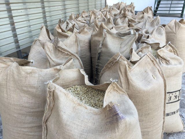 Robusta Coffee/Arabica Green Coffee Beans For Sale - Image 3