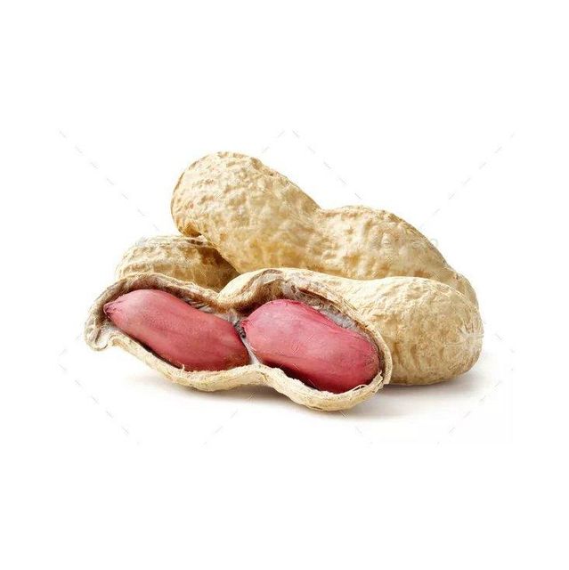 Premium Peanuts bulk supply wholesale cheap price nutritious nuts - Image 2