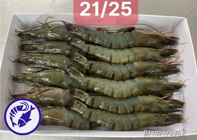 Premium Indian Frozen Black Tiger Shrimp – Export-Quality Penaeus Monodon, IQF Frozen Seafood for Wholesale and Internat - Image 3