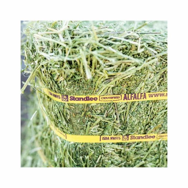 Bulk lucerne hay offered at competitive prices for global export markets - Image 2