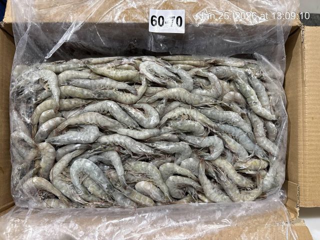 shrimp Texture Firm Taste Natural Features No Preservatives Application Wholesale, Retail, And Food Service Markets Packaging Options IQF And Block Frozen, Iqf And Block Frozen - Image 3