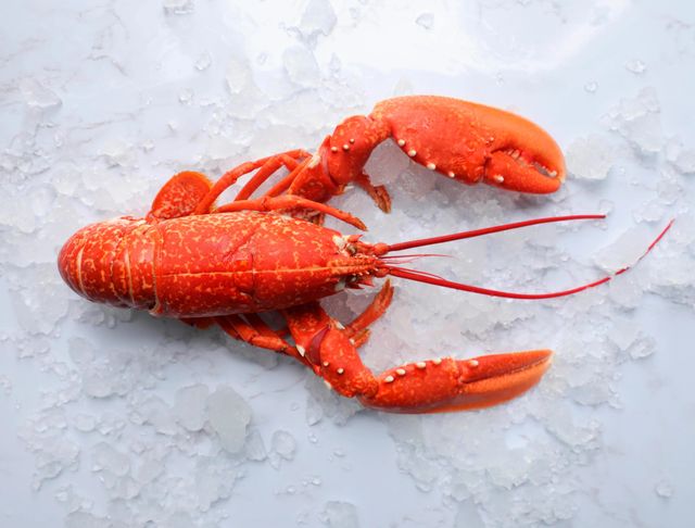 Frozen American Freshwater Rock Lobsters Whole Boxed 100% Pure Ingredients 4cm 4.54kg Alive Style for Sale - Image 4