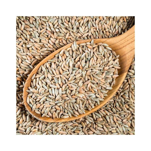 Rye grain wholesale bulk available at low competitive rates - Image 2