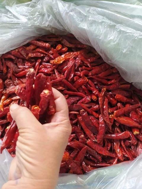 Red Chili Pepper Whole - Dried Sun-Dried Chili, No Additives Color Red Delivery Form Bag, Sacks Degree of Spiciness Spicy - Image 4
