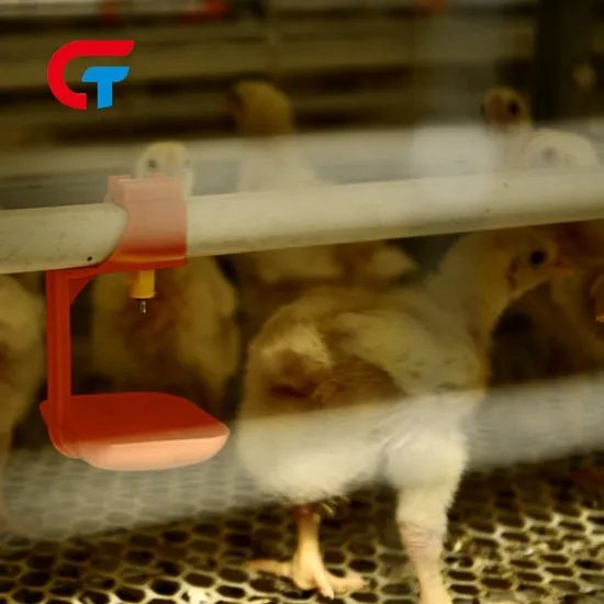 H-Type Chicken Cage 4-8 Tiers Auto Feeding Egg Collecting 1Y Warranty Hot Galvanized Steel - Image 1