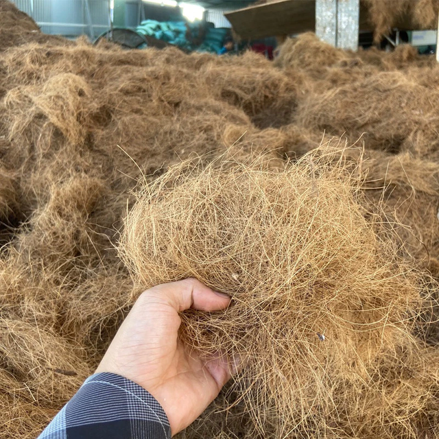Raw Coconut Fiber - Eco-Friendly Material - Image 4