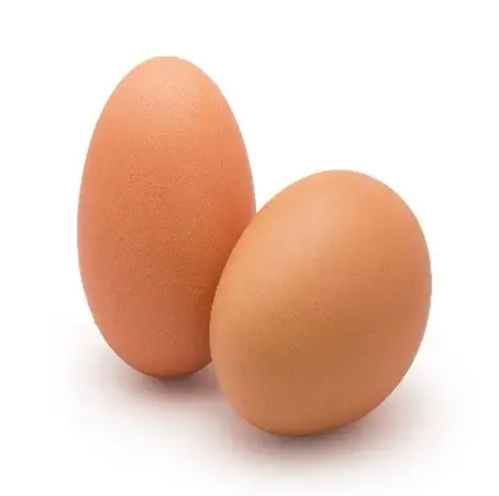 Top Quality White Egg for Sale - Image 1