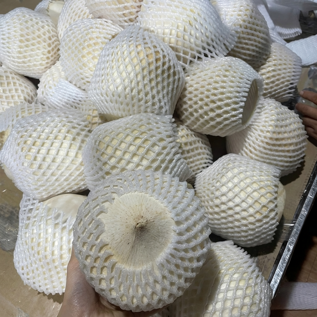 Diamond Shape Fresh Coconuts Origin Vietnam Shape Diamond Shape Packaging 9 Coconuts/Box Degree of Processing Fresh Flavor Natural Coconut Flavor - Image 3