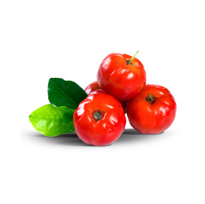 Frozen Acerola Pulp NFC Color Red Drum Net Weight 170 Kg Place of Origin Brazil Storage Temperature -18°c Total 40' Net Weight 23.800 Kg - Image 1