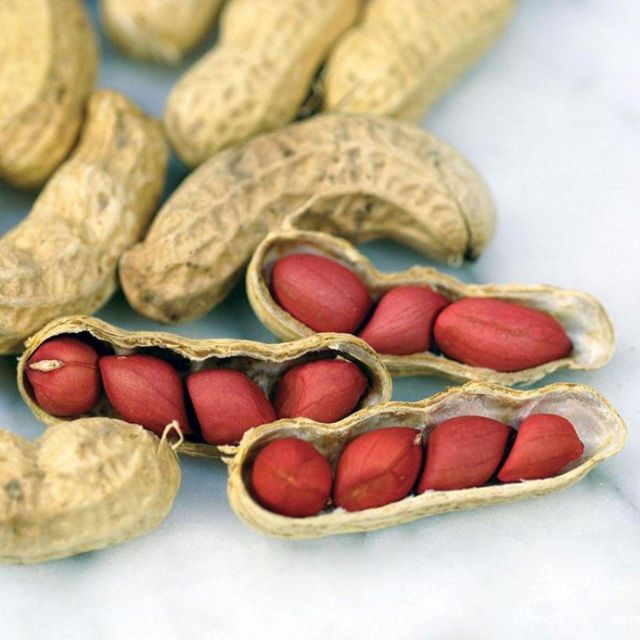 Raw Peanuts High Purity Kernels With Natural Freshness For Bulk Packaging And Distribution - Image 1
