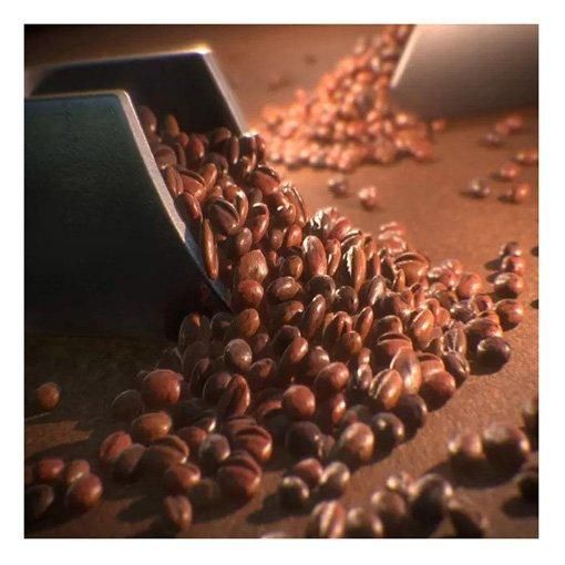 Arabica Specialty Blend Roasted Coffee Beans - Image 4