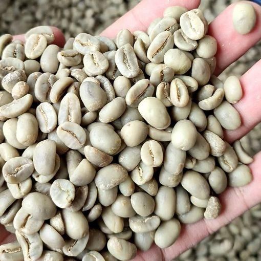 Wholesale Coffee Beans Grade 1 - 3 Arabica and Robusta Green Beans Origin East Java and Central Java - Image 3