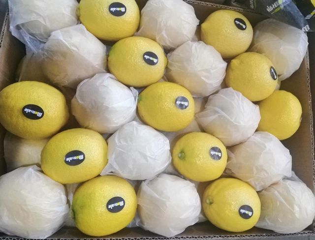 Chinese Fresh Lemon Origin China Organic No, Yes - Image 3