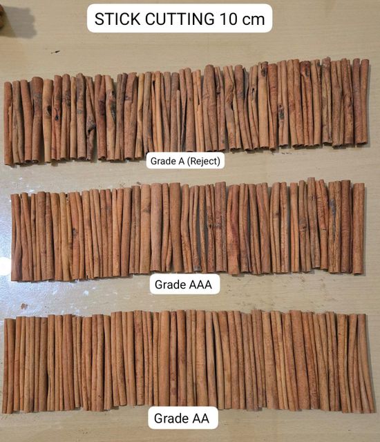 CINNAMON Origin Indonesia Features Organic Taste Sweet-spicy Form Rolled Stick Or Powder Color Light Brown To Dark Brown - Image 4