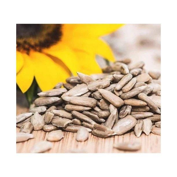 Low price Sunflower Seeds bulk supply wholesale high nutrition export ready Wholesale Sunflower Seeds - Image 2
