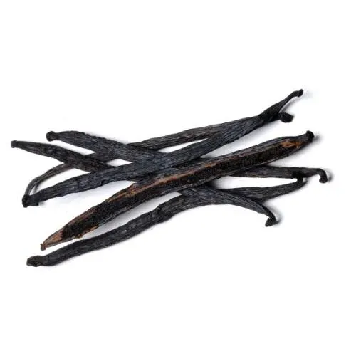 Premium Vanilla Beans High Quality Whole Gourmet Pods Bulk Wholesale Supply Cheap & Affordable Pricing - Image 3