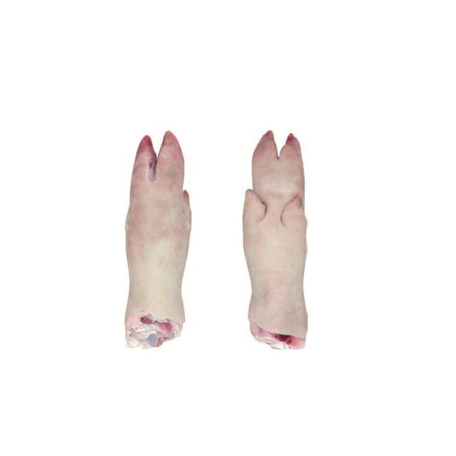 High Quality Frozen Pork Meat //pork feet for sale/pork tail wholesale 100% Frozen Pork Leg/pig Feet Boneless Fresh Frozen Pork Meat 15/20/25 Kg Hind Leg a Grade Bulk Packaging IQF Halal Pork Meat Frozen Porks Feet / Meat Pork - Image 4