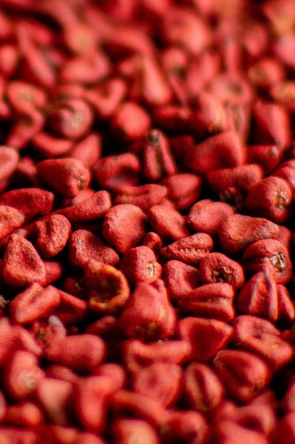 Natural Annatto Seeds New Crop 2026 - Image 5