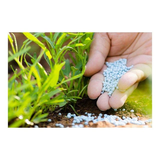 Factory Direct Sale fertilizer nitrogen 20 high bulk nitrogen fertilizer - Image 4
