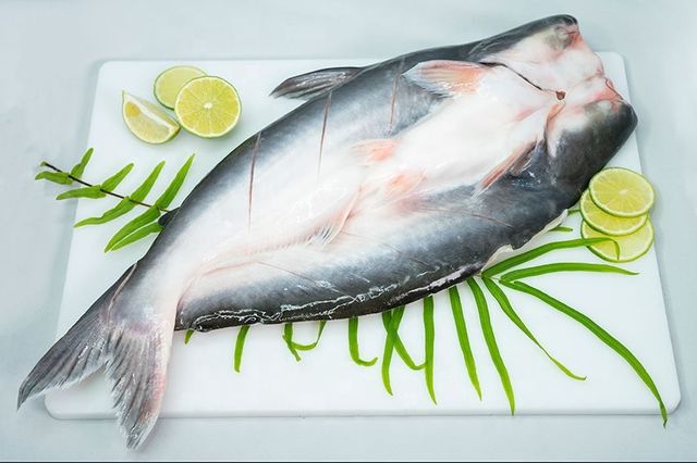 Hot Summer Season Frozen Pangasius Butterfly Competitive Price - Image 4