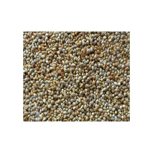 Millet feed bulk supply high quality cheap price for animal nutrition – product photo 3, product detail gallery