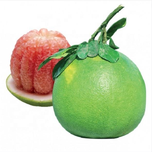 Red Fruit Pomelos Vietnam Pomelo Grapefruit from View Nam High Quality Fresh, Used -1.5 -2.0 (kg) dia 20 (cm) - Image 3