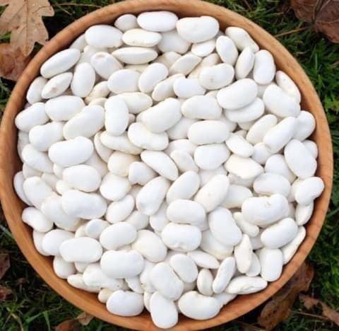 White Beans - Image 1